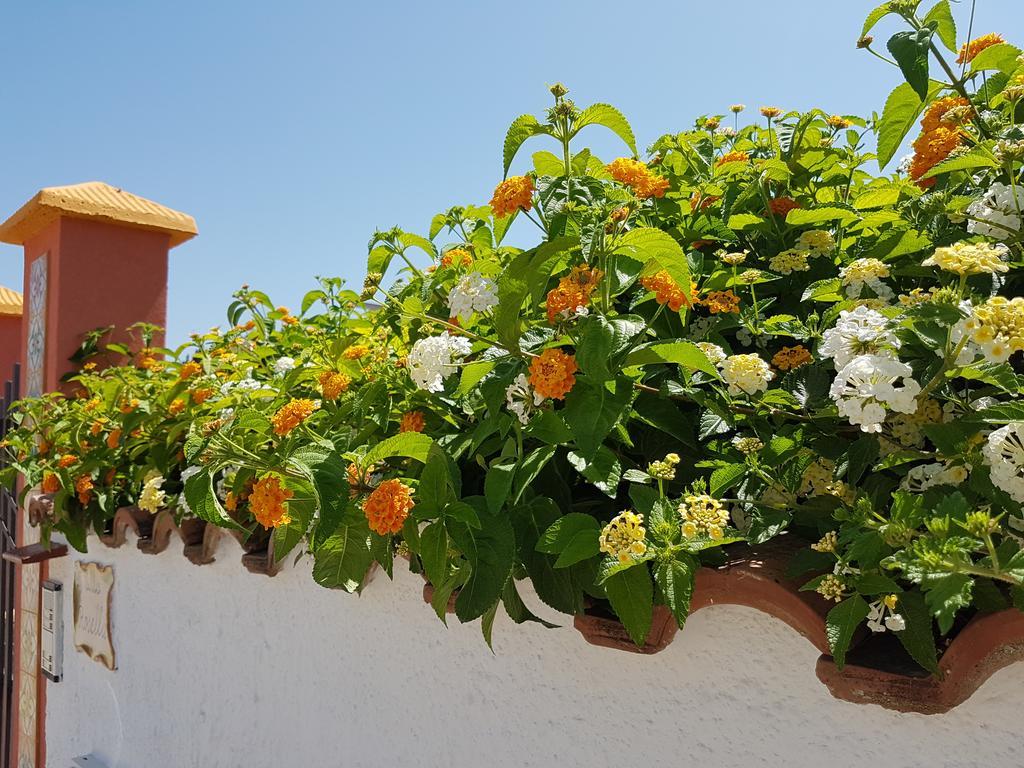 שאקה Villa Rosella מראה חיצוני תמונה